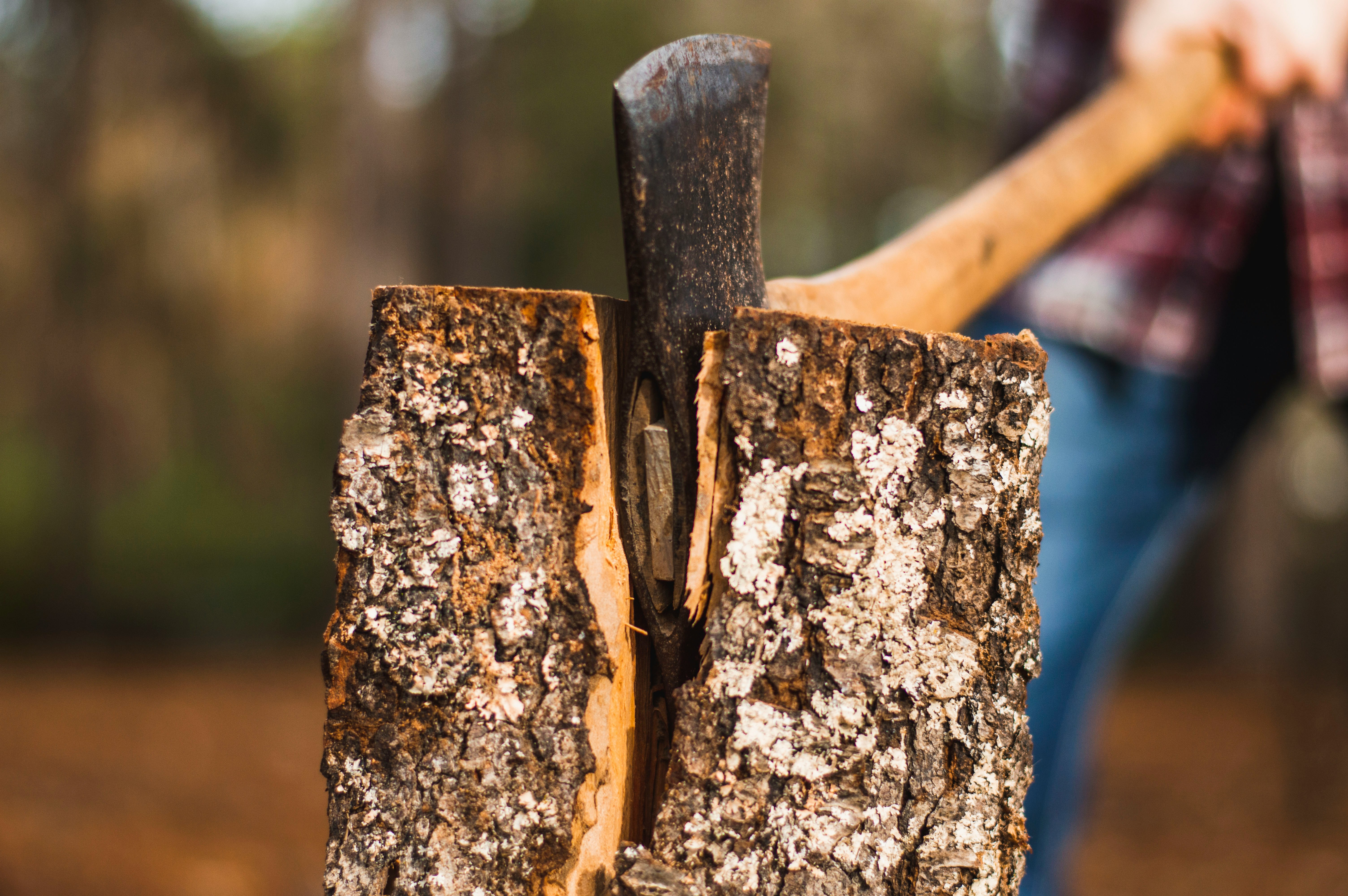 Professional wood chopping in Royal Oak