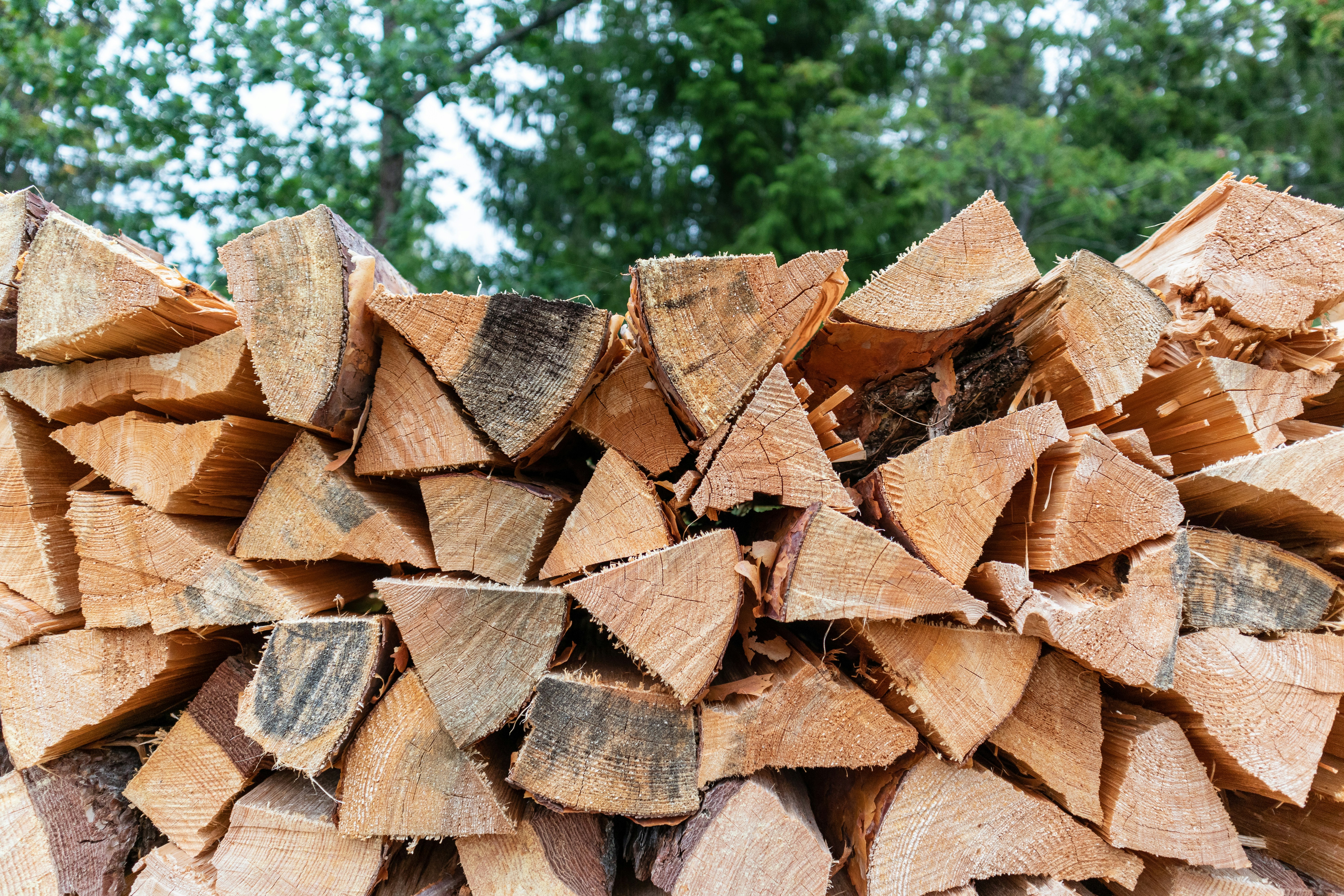 Professional bulk firewood in Royal Oak