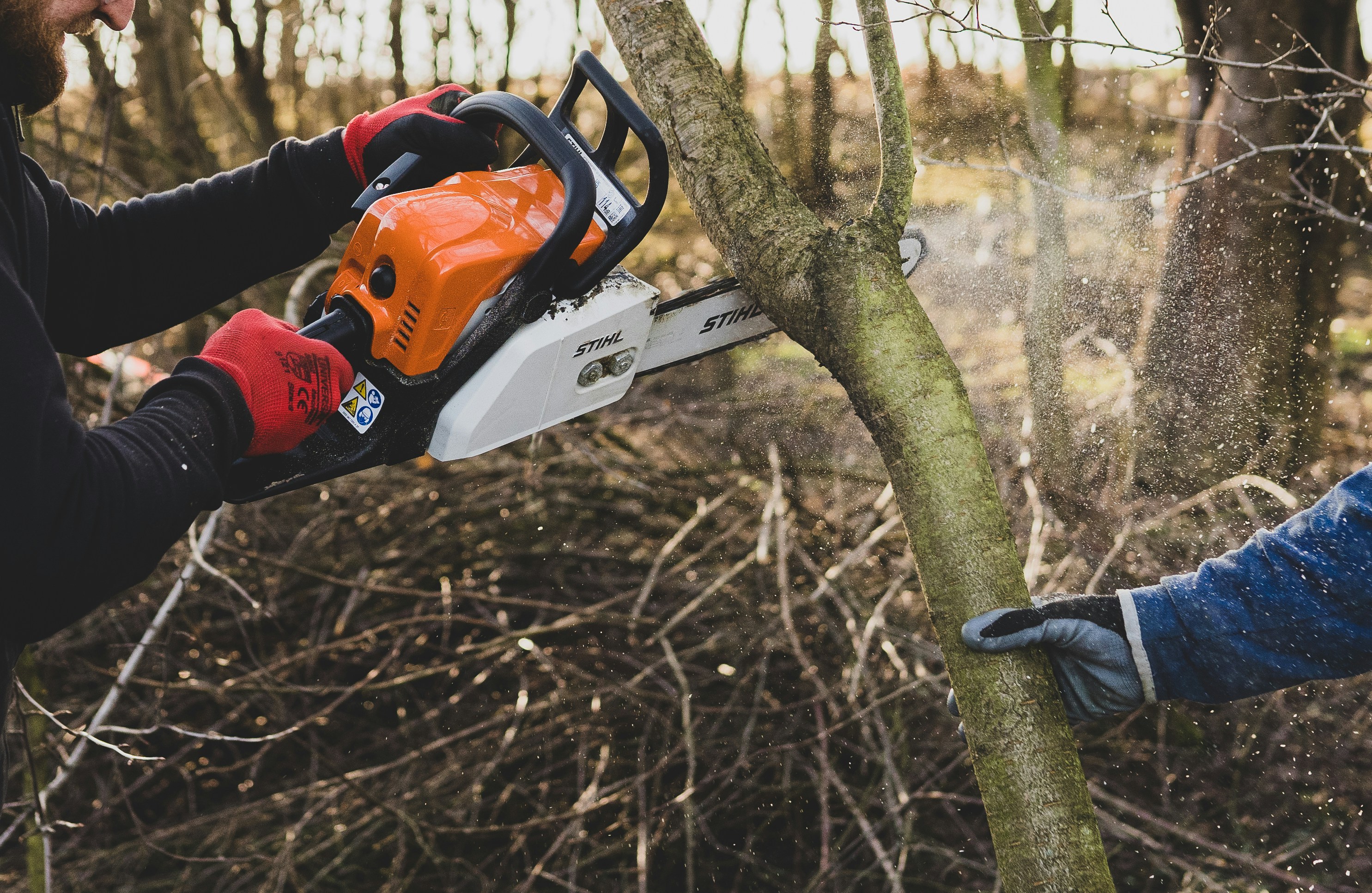 Professional wood chopping in Novi