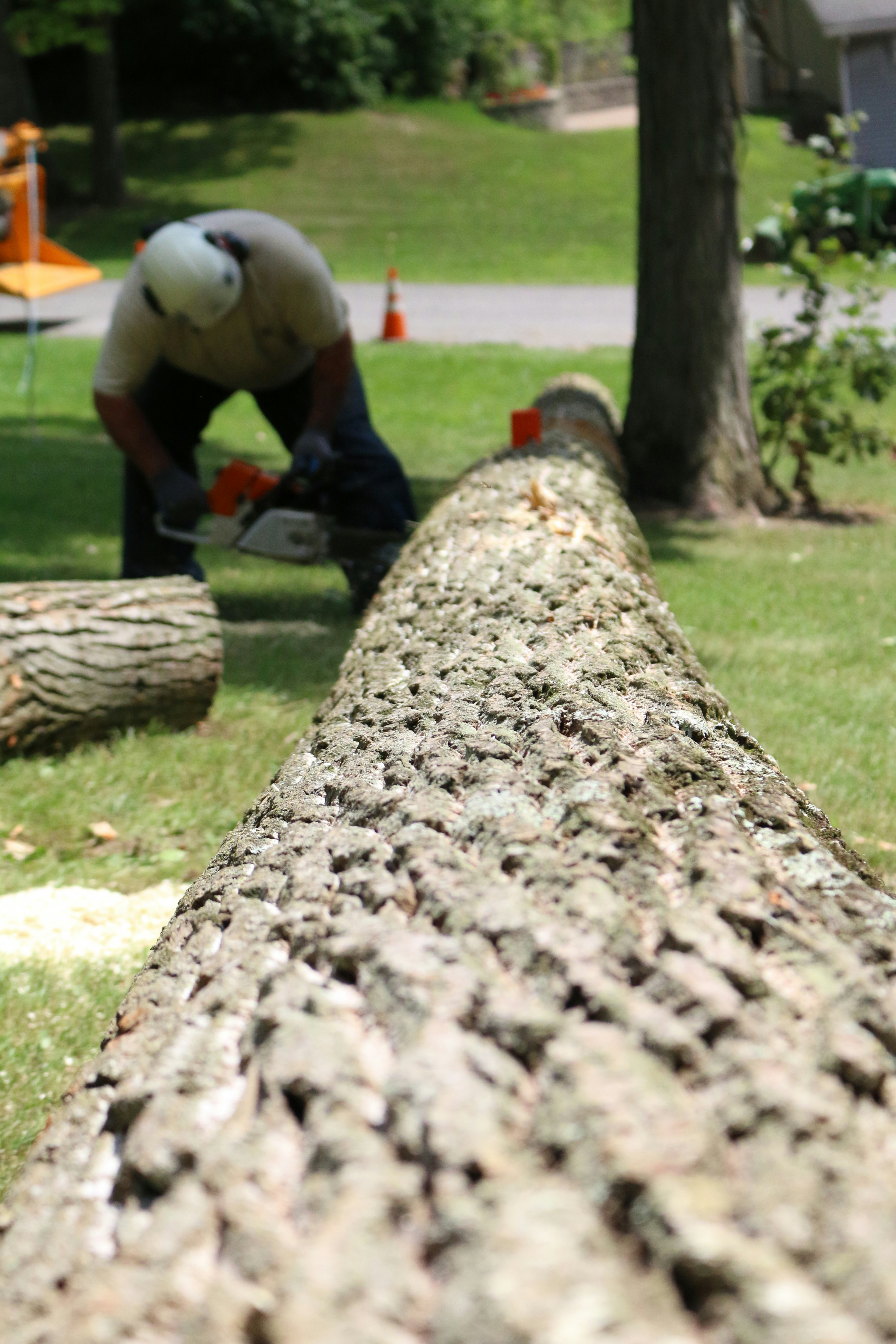 Professional wood chopping in Rochester Hills