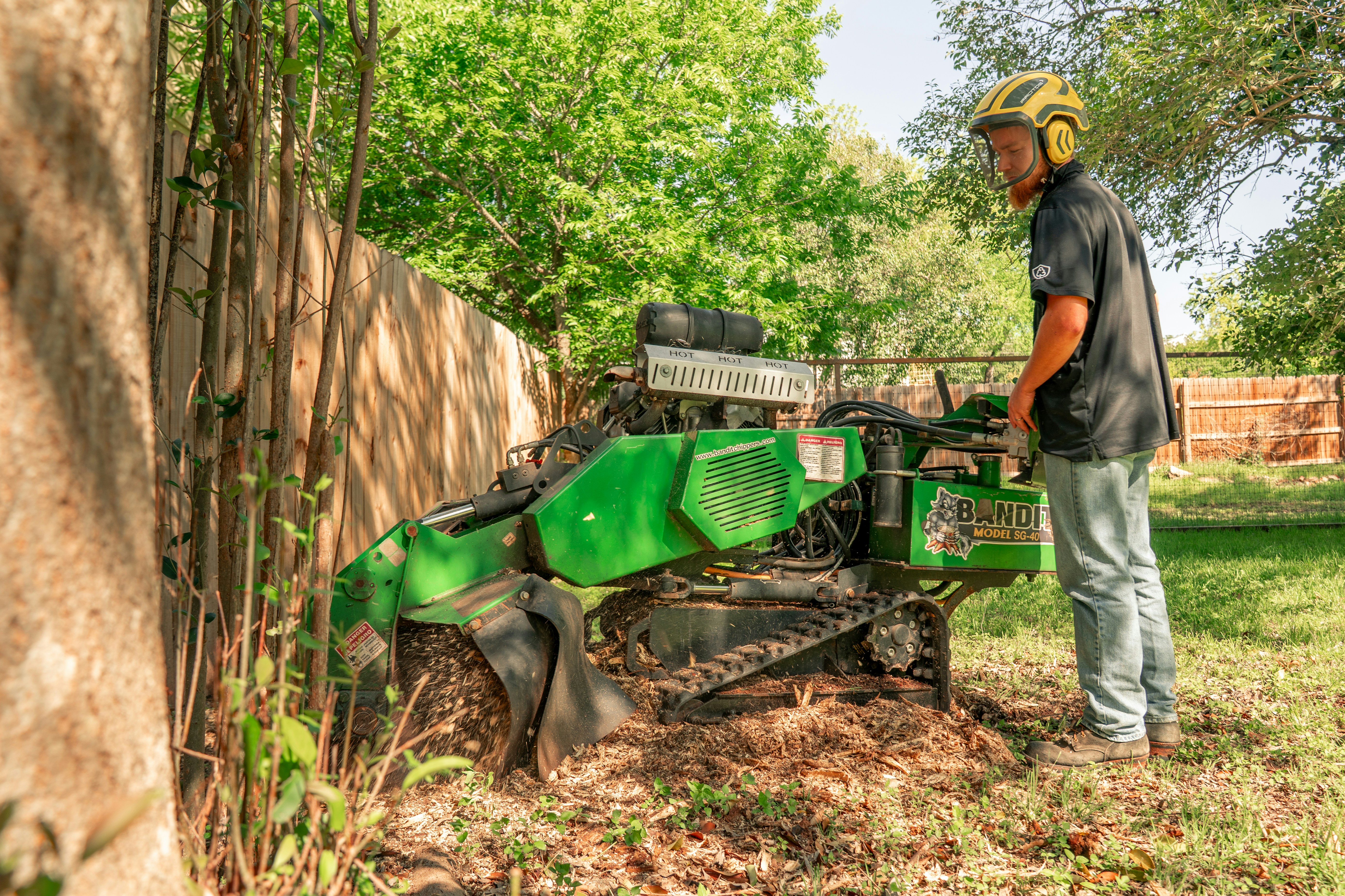 Professional stump grinding in Royal Oak
